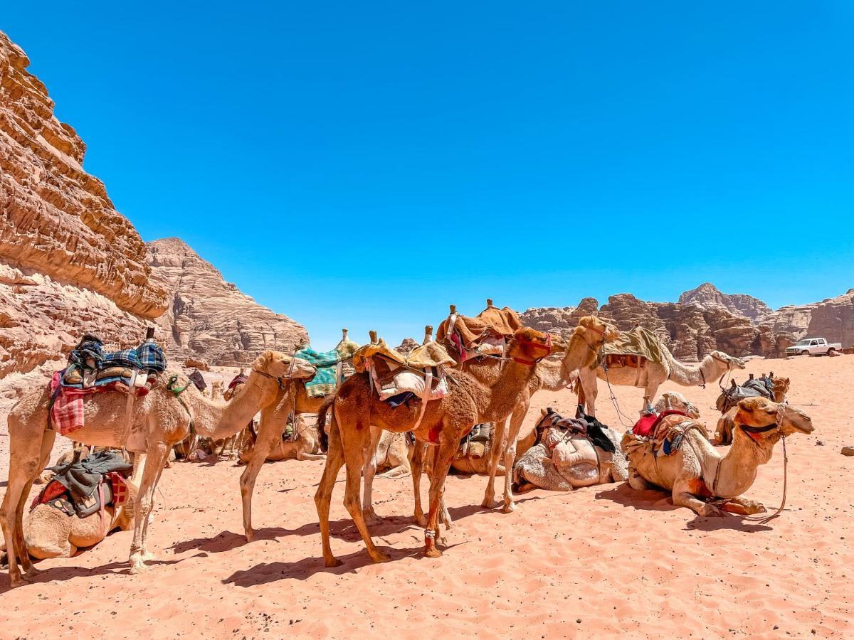 Rum Jordan camp Hotel Wadi Rum Eksteriør billede